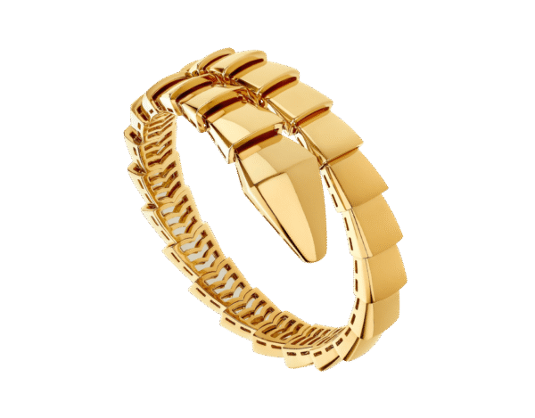 96DAE1A5-5FDF-DA4E-D6F5-ABBBC8E650B6.png Serpenti Bracelet