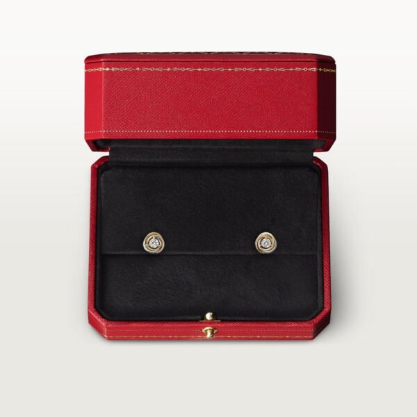 991D395A-61B3-46D3-57E7-B3EB5F8379F4.jpg TRINITY EARRINGS