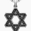 Pav&eacute; Star of David Pendant Sterling Silver with Black Diamonds