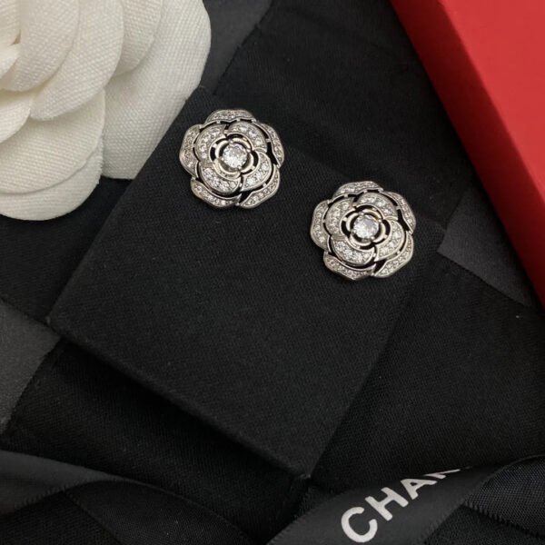 cc Earrings