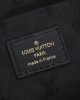 9C2E022A-93C4-77AF-927D-4E667924FAA7.jpg Louis Vuitton M59793 Alma BB