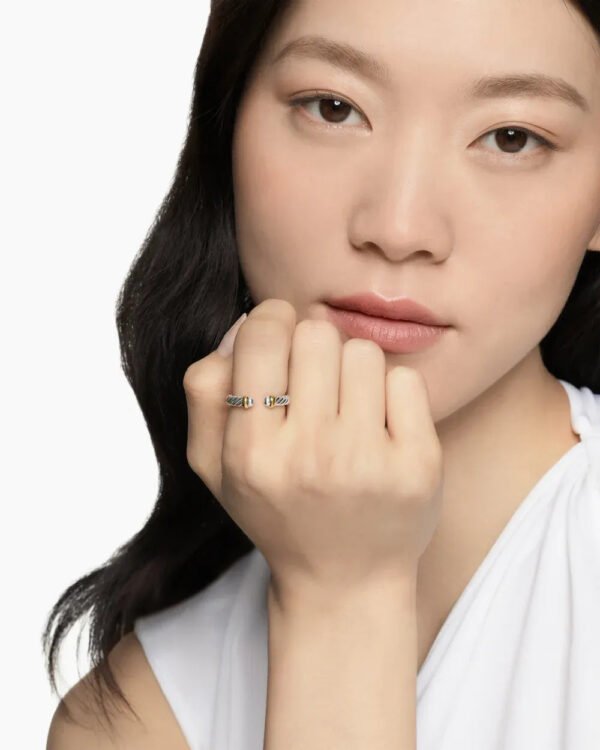 Petite Cable Ring Sterling Silver with 14K Yellow Gold - 6