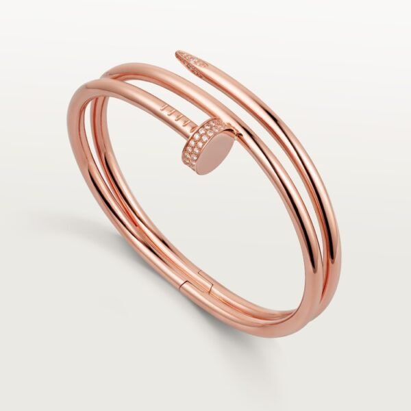 9E52762C-ED4A-61F7-61D8-301B43FC20D8.jpg JUSTE UN CLOU BRACELET
