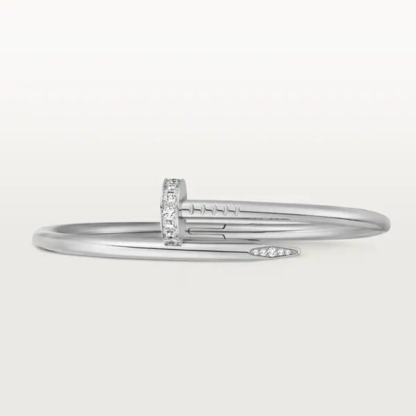 9EE90F12-BB2D-CF58-101C-3E380C91E2F7.jpg JUSTE UN CLOU BRACELET