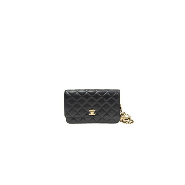 9F7C40EF-38A7-C11B-B564-19D644B344CB.jpg Chanel classic chain wallet