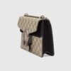 9FBFD9F1-3504-D09B-B7B0-8B2B56609419.jpg DIONYSUS SUPREME MINI BAG