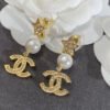 A190D3ED-C0DD-99DD-8683-B87A29C8EF1A.jpg cc Earrings