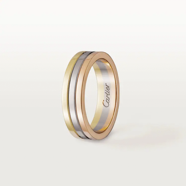 A6B1B6AA-71F1-6AC4-1AFB-E2FE0023DD56-1.png VENDOME WEDDING BAND