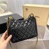 A6B2AD52-BA62-0CFA-96F7-EF080E80631A.jpg Chanel 23C Hobo New Gold Coin Bag