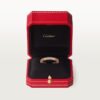 A803E7D3-E6D8-753F-26CF-AAE6A8092862-1.jpg MAILLON PANTHÈRE WEDDING BAND
