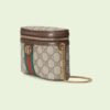 A84CC19F-5AB7-05AF-69DE-2E3CE29DF7A3.jpg OPHIDIA BELT BAG