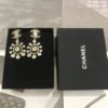 cc Earrings