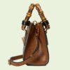 DIANA MINI TOTE BAG