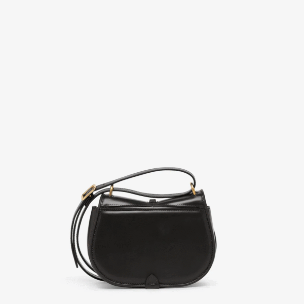 AE74EFED-C148-B244-1F08-6B54445A5F71.png Fendi C'mon Mini