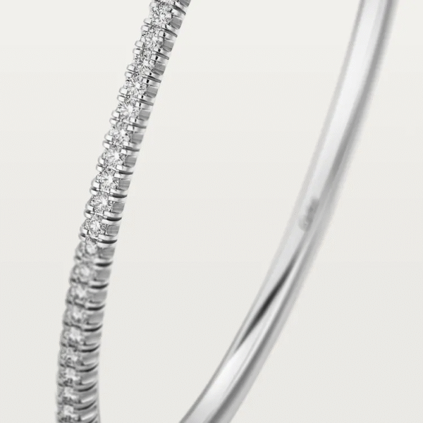 AF9F05DE-C0C9-E831-2D9E-09C9778A62C5.png ETINCELLE DE BRACELET