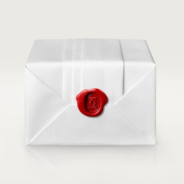 JUSTE UN CLOU NECKLACE