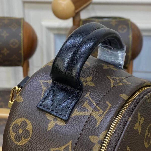 B0FD79FE-EA2C-FA2A-6D17-6935B8800358.jpg Louis Vuitton Palm Springs Mini M44873