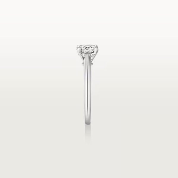 B15BC414-0597-2982-6528-5A1411888CE3-1.jpg SOLITAIRE 1895