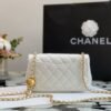 B253F703-7129-8632-317B-8794C852B11B.jpg Chanel Pearl Crush Mini Rectangular Flap Bag AS1787
