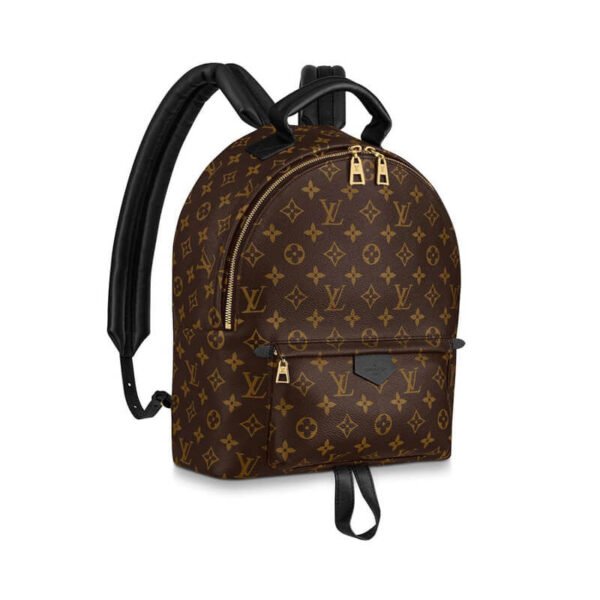 B2B6F1EA-7E0E-649F-737B-F0EF235B76E8.jpg Louis Vuitton Palm Springs MM M44874