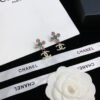 B4257783-B9A1-49D8-BF1D-8CF86C2C433B_7d223741-bd41-4210-8ceb-b4b08f5dbb3f.jpg cc Earrings