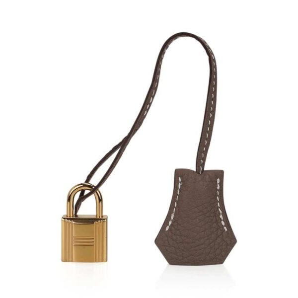 Birkin 25 Bag Etoupe Togo Leather with Gold Hardware