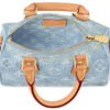 Louis Vuitton Nano Speedy