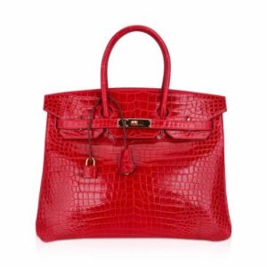 B81984CB-FBA2-FD58-21F0-A773D4FDAE15.jpg Birkin 35 Bag Braise Porosus Crocodile with Gold Hardware