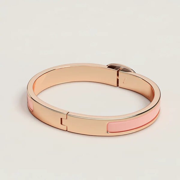 B844E508-B0A2-95A6-1AF2-2F4DD165A6A3.jpg Hermes Mini Clic Chaine d'Ancre bracelet