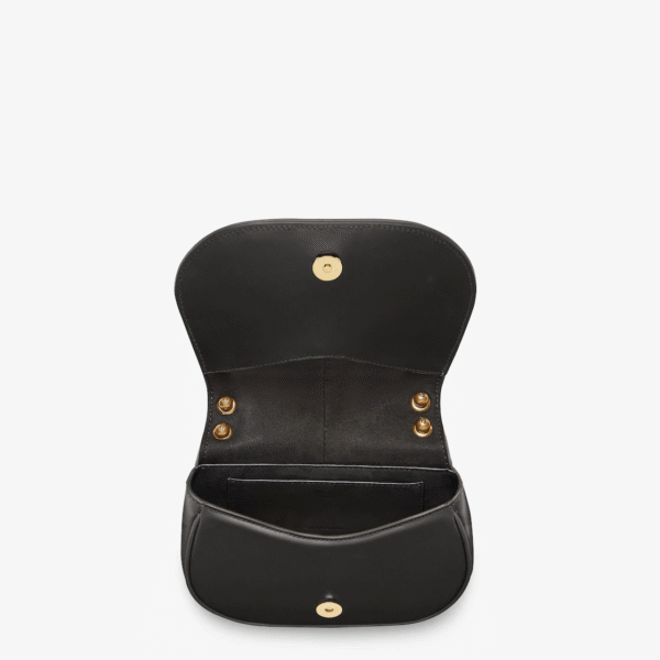 B8E1F474-4DE2-62F1-2D33-5BDC9A6BB822.png Fendi C'mon Mini