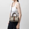 BD4BA05B-E46C-0281-792E-57A33D515985.jpg Gucci Ophidia GG Mini