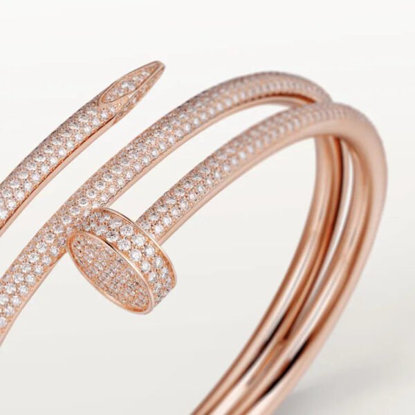 C26EB4B7-9B91-F988-9C37-153CAE64FFED_480163db-a291-4d08-8ec1-6d7f665b488a.jpg JUSTE UN CLOU BRACELET