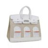 Limited Edition Birkin 20 Faubourg Sellier Bag Neige (Snow) White Matte Alligator