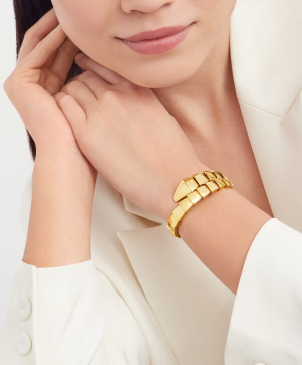 C7C0BF6C-8734-1654-2D73-9DD7FC4775D6.jpg Serpenti Bracelet
