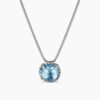 C8DEDB82-9971-0A61-6FAD-55FB7D5C20C9.jpg Petite Chatelaine® Necklace Sterling Silver with Blue Topaz, 10mm