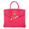 CC6B80C4-1510-0321-D076-345AC10A960C.jpg Birkin 30 Bag Rose Extreme Clemence Leather with Gold Hardware