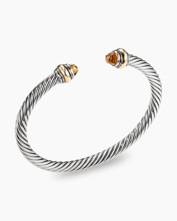 CEEC12FA-88B0-A5C1-90E0-B527C7B69B41.jpg Classic Cable Bracelet Sterling Silver with 14K Yellow Gold and Citrine, 5mm