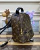 CF391735-FD85-72A3-5655-7C3B58799F90.jpg Louis Vuitton Palm Springs Mini M44873