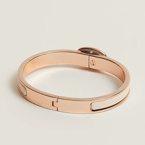 CF9A073E-2C4E-4033-DE2C-6B2E92CD71EC.jpg Hermes Mini Clic Chaine d'Ancre bracelet