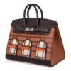 Birkin 20 Sellier Limited Edition Faubourg Bag with Palladium Hardware