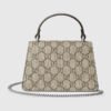 D04B40F5-2983-AD39-03C7-F0E29D2EF197_dcc49c54-0407-42fd-8fd2-b834bdb37617.jpg DIONYSUS MINI TOP HANDLE BAG