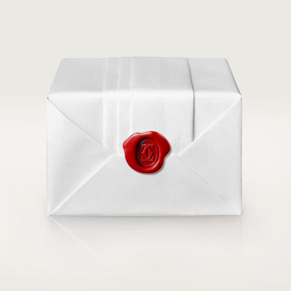 D0BB6ED5-A065-3E52-E05D-03AAF24174C2.jpg PANTHERE DE NECKLACE