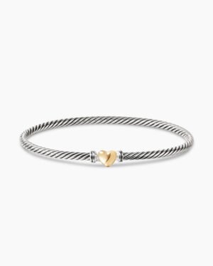 D0FF8503-EC89-A0B0-3208-1E17536E150B.jpg Classic Cable Heart Station Bracelet Sterling Silver with 18K Yellow Gold, 3mm - 17cm
