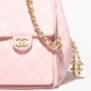 D15E1B65-0886-287E-018E-B3AEE9D62F29.jpg CHANEL 25 small bag(Pink)