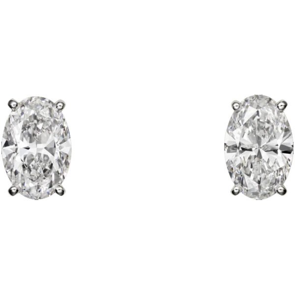 D58A00E2-30AC-8444-67AA-1CADACC52B62.jpg 1895 EARRINGS