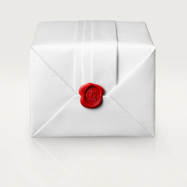 D68313B6-DC9C-0969-6879-60D8C0B58158_d9dc9035-1ee1-4498-b3a1-284cbe1e600f.jpg LOVE EARRINGS