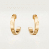 D6B26EBC-BC59-3EC8-D042-59A522CA91F8.png LOVE EARRINGS