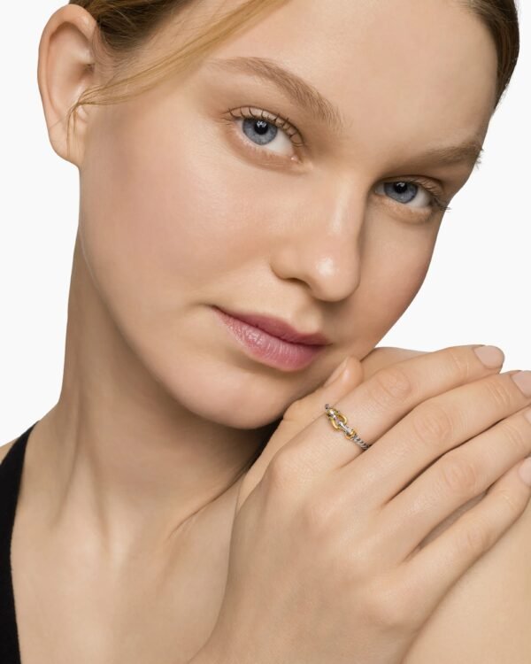 D7E9A945-7778-1791-3069-1A46D4D1F673.jpg Petite Buckle Ring Sterling Silver with 18K Yellow Gold, 2mm - 6