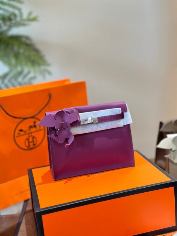 D7FAE954-742F-5DC8-9B31-EAA91AEA0947.jpg Kelly 20 Bag - Plum red