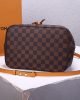 DA8922D4-EA5D-6135-3653-86466FFE4645.jpg Louis Vuitton NeoNoe Bucket Bag N40213